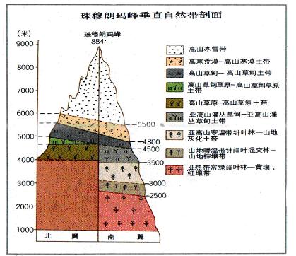 自然带的分布是受热量和降水条件限制的.