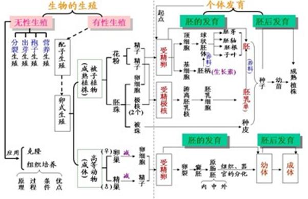 问:请分别介绍一下这几种生殖方式,在列举几个典型的例子.