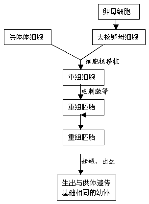 浅谈植物组织培养和动物细胞培养中的碳源