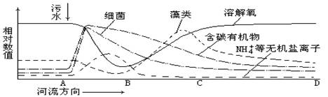 生态系统消费者的作用_生态系统的稳定性教案_生态系统的什么什么稳定性