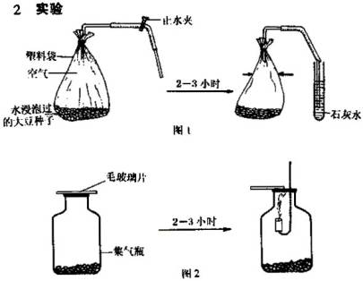 科学表格式教案_数学表格式教案_教案 表格式