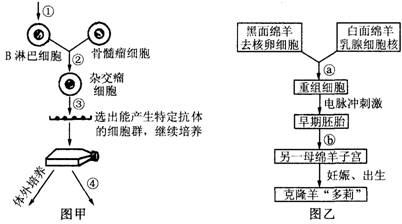 单克隆抗体下游分离制备工艺手册